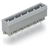 MCS-MIDI Classic wtyk 12-bieg. szary raster 7,5 mm