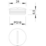 168/MS, ZAŚLEPKA GWINTOWANA PG 16 MS/NI