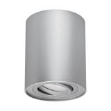 Oprawa sufitowa HARY C GU10 SILVER