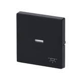 CARAT/FUTURE  Klawisz z symbolem „światło” Do przycisku zwiernego antracyt