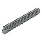 MCS-MIDI Classic gniazdo 24-bieg. szare raster 5 mm /10szt./ WAGO