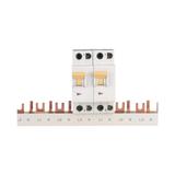 Z-SV-10/1P+N-SD SZYNA 269526 EATON