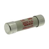 1A 250V AC 14x51mm S/COND FERRULE FUSE Wkładka szybka 1A AC 250V DC 250V 14x51 mm aR UL FWX-1A14F EA