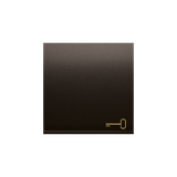 Simon 54 Klawisz pojedynczy z piktogramem klucza do łączników/przycisków brąz mat