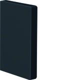 tehalit.BRP Końcówka 65x100 czarny BRP6510069011 HAGER