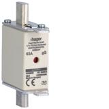 Wkładka bezp. nożowa NH00 wsk.podw. uchwyt nieiz. gG 63A 690VAC LNH00063M6 HAGER