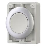 M30C-FD-GR Przycisk 30mm płaski szary z samopowrotem 182923 EATON