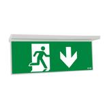 NexiTech LED szyba strzałka w dół / strzałka w dół 20m ISO7010 NEXI-PLEX-20-DD EATON