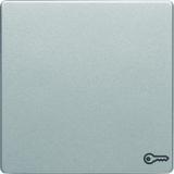 BERKER Q.x Klawisz z nadrukowany symbol klucz do łącznika 1-klawiszowego aluminium aksamit lakierowa