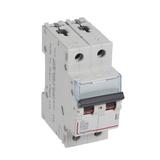 Wyłącznik Nadprądowy S 312 2P D25A 10000A DX3 409453 LEGRAND