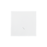 Simon 55 Klawisz pojedynczy z piktogramem /schody/ do: SW6M Biały mat
