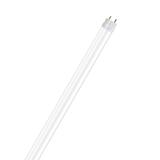Tuba LED T8 ENTRY 1200mm 16,1W 840 220-240 EM