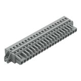 MCS-MIDI Classic gniazdo 21-bieg. szare raster 5 mm /10szt./ WAGO