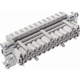 H-BE 24 BF 25-48 WKŁAD ŻEŃSKI M.KLEMMF 10401500 LAPP KABEL