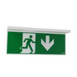 NexiTech LED opal szyba strzałka w dół / strzałka w dół 20m ISO7010 NEXI-PLEXO-20-DD EATON