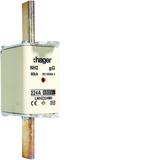 Wkładka bezp. nożowa NH2 wsk.podw. uchwyt nieiz. gG 224A 690VAC LNH2224M6 HAGER