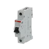 S201M-C25 wyłącznik nadmiarowo-prądowy