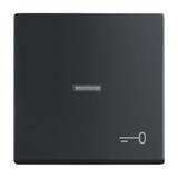 FUTURE Klawisz z symbolem "klucz" Do przycisku zwiernego czarny matowy