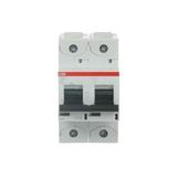 S802S-C63 Wyłącznik nadprądowy 50kA 2P C63A 2CCS862001R0634 ABB