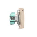 Simon Basic Gniazdo wtyczkowe z uziemieniem z przesłonami torów prądowych bryzgoszczelne IP44 16A 250V zaciski śrubowe beż BMGZ1BZ.01/12 BMGZ1Bz.01/12 KONTAKT