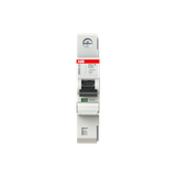 S401M-C25 wyłącznik nadprądowy SMISSLINE 2CCS571001R0254 ABB