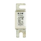250A 690V aR 00TN/80 TYPE T IND. FUSE Wkładka szybka 250A AC 690V DIN 00 aR DIN IEC nieizol 170M2668