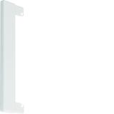 tehalit.BRN65/ BR65 Końcówka do przebicia w ścianie 65x170, biały