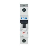 FAZ-C2/1 Wyłącznik nadprądowy 15kA C2A 1P 278549 EATON