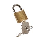 KŁÓDKA BLOKADY DŹWIGNI ZAŁĄCZAJĄCEJ DLA TX3 I DX3, Legrand