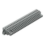 MCS-MIDI Classic gniazdo 24-bieg. szare raster 5 mm /10szt./ WAGO