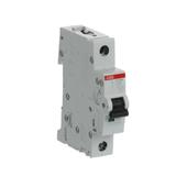 S201M-C25 wyłącznik nadmiarowo-prądowy