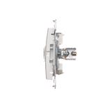 Simon 54 WMDE-012000-011AB Gniazdo ekwipotencjalne podwójne (moduł); antyba