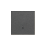 Simon 55 Klawisz pojedynczy z piktogramem /światło/ do: SP1M Grafitowy mat