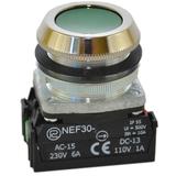 Przycisk NEF30-K2X/W3 zielony W0-NEF30-K 2X/W3 Z PROMET