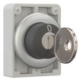 M30C-FWS-MS2 Przełącznik kluczykowy 30mm 2 położeniowy z samopowrotem zamek MS2 187073 EATON