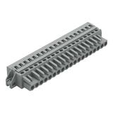 MCS-MIDI Classic gniazdo 19-bieg. szare raster 5 mm /10szt./ WAGO