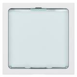 MOSAIC SYGNALIZATOR ŚWIETLNY LED 0,2/1W- 2 MODUŁY BIAŁY 230V~, Legrand