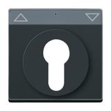 CARAT/FUTURE  Pokrywa z polem opisowym. Z nadrukiem Do wyłącznika na klucz i wyłącznika/przycisku ża