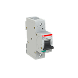 S801N-D8 Wyłącznika nadprądowy 36kA 1P D8A 2CCS891001R0081 ABB