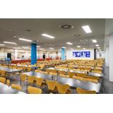 ENDURA STYLE CYLINDER CEILING 6WST LEDV Oprawa zewnętrzna