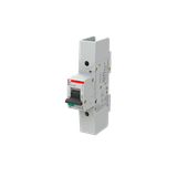 S801S-K32-R Wyłącznik nadprądowy 50kA 1P K32A 2CCS861002R0537 ABB