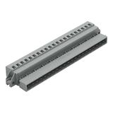 MCS-MIDI Classic wtyk 21-bieg. szary raster 5 mm /10szt./ WAGO