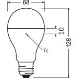 Lampa LED VALUE Classic A150 non-dim plastik 19W 865 E27
