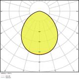 Naświetlacz FLOOD LED PERFORMANCE 65W 3000K SYM 100 black