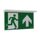 NexiTech LED szyba strzałka do góry / strzałka do góry 30m ISO7010 NEXI-PLEX-UU EATON