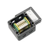 KLIPPON POK1 M16ACSS EX Szafa/obudowa przeciwwybuchowa WEIDMULLER