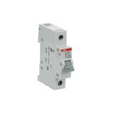 E201/125A gr, rozłącznik