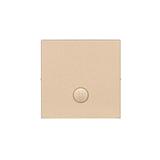 Simon 55 Klawisz pojedynczy z oczkiem z piktogramem krzyżowym do: SW7M Szampański mat