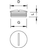 168/MS, ZAŚLEPKI GWINOWANE PG21 MS/NIK