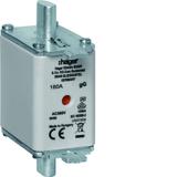 Wkładka bezp. nożowa NH00 wsk.podw. uchwyt nieiz. gG 160A 500VAC LNH0160M HAGER